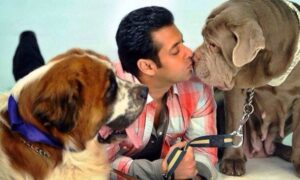 Farewell Toro: Salman Khan’s Journey of Love and Loss with His Pets