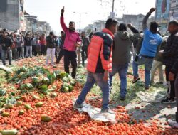 Due to the lack of cold storage and a proper calendar, farmers’ produce is wasted every year.